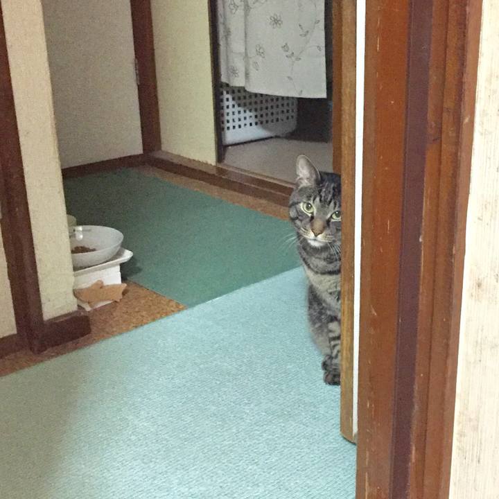 389c142a 6233 4dab b59d 08e5da21c47f