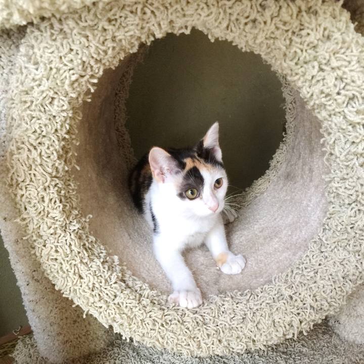 389d3ceb 4e6c 4b20 a545 338d1739a165