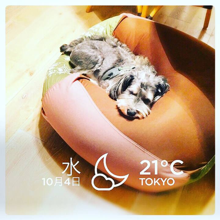 389e06f7 4957 45f3 a99e 6242b1f33581