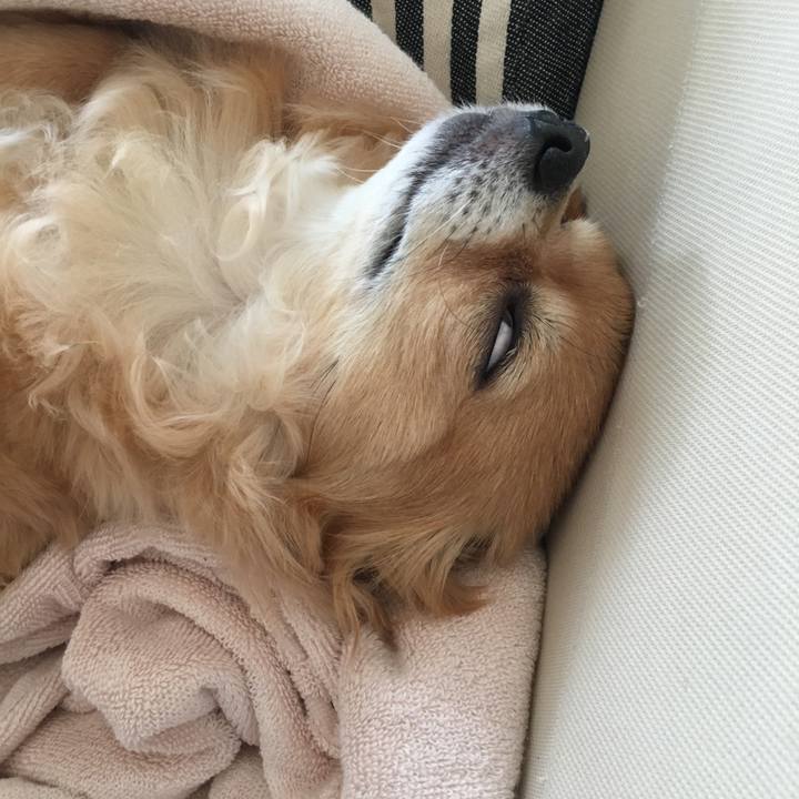 389e092f 333f 45f3 b513 9c95fb5431fb