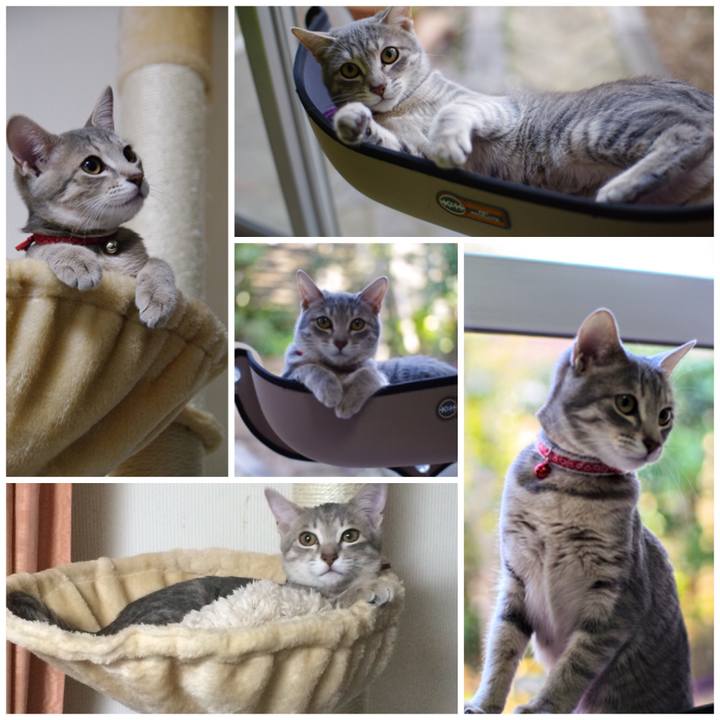 389e4e4a 36e0 4133 8b6f 35279216c190