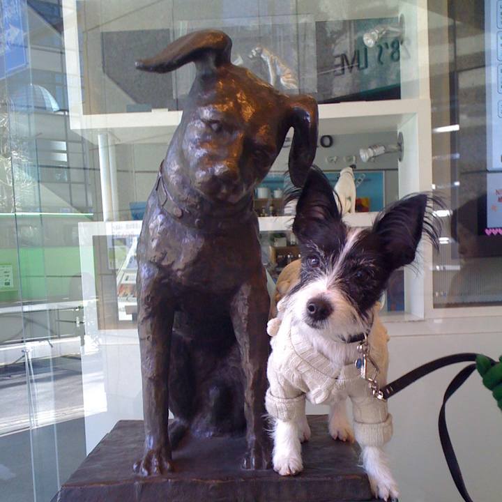 389e599f 4454 432f b178 eb541d7f7a51