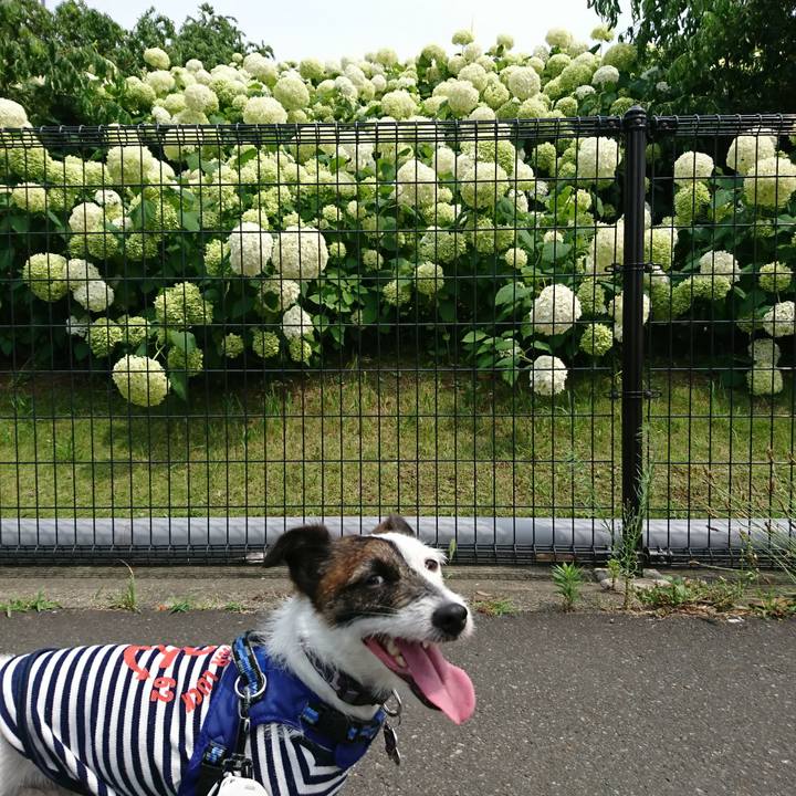 389eaa77 3685 4f8d 91e0 dc96e224d44b