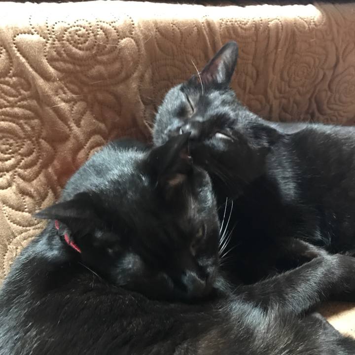 38a07c7b a569 4f14 84b3 8571494e8aad