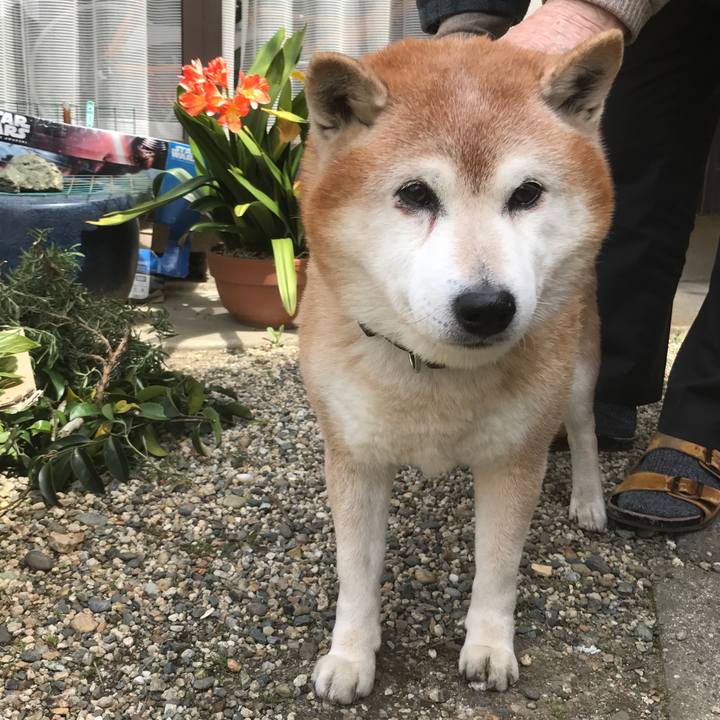 38a0fcbb a623 4aa5 8951 69a9864cead1