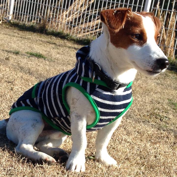 38a1d8d0 b4ef 4d0c bbba 35727ec6155b