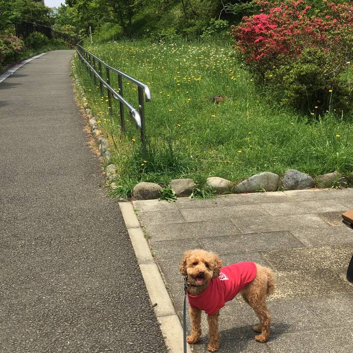 38a1f673 dfe9 461b 9d4a e61bc57c78f4