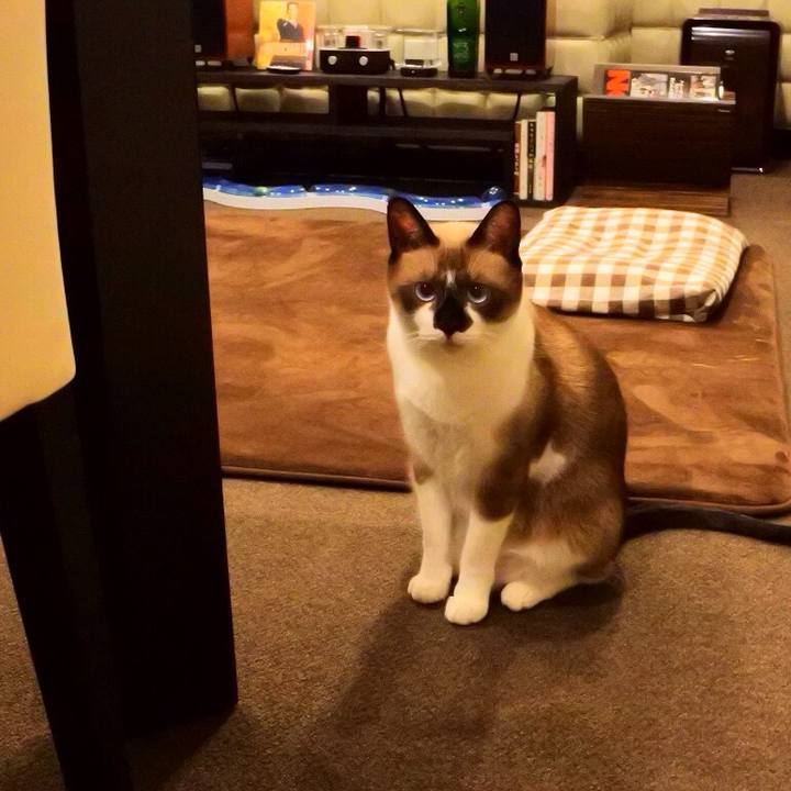 38a1f76a 64ff 49b2 a897 60d4b83e6c7d