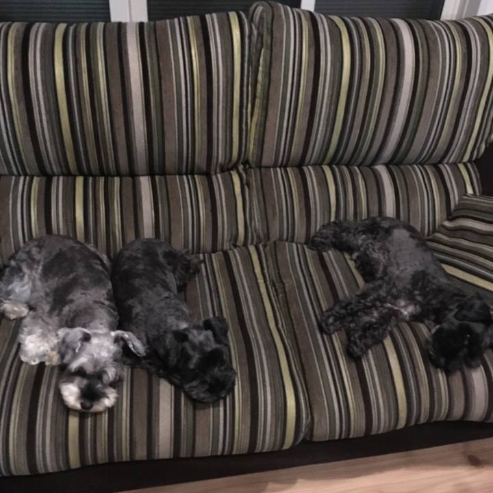 38a24fe8 83a1 4d10 b047 0223f135eddf