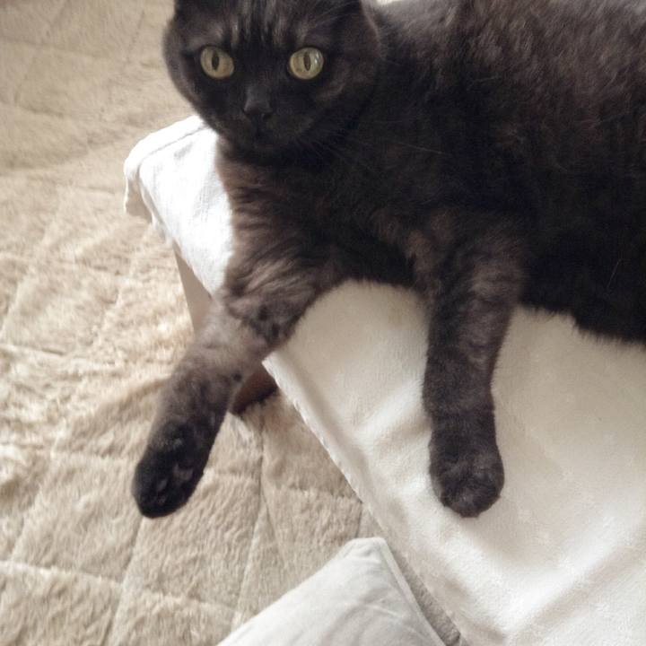 38a25da3 f437 4ef9 bcd0 b1ee58e57792