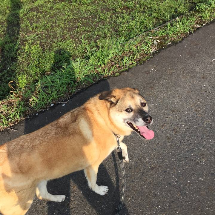 38a40755 792f 4865 81f4 a18eec67076b