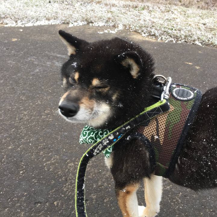 38a426fd 837f 42cb 83e2 fe494d32cf33