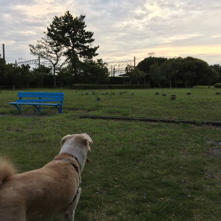 38a42a45 b8b7 486f 961f 0c3d6b3efb47