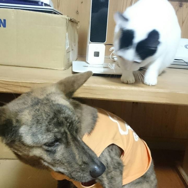 38a4cefc 4926 42da 8b92 289e8de15166