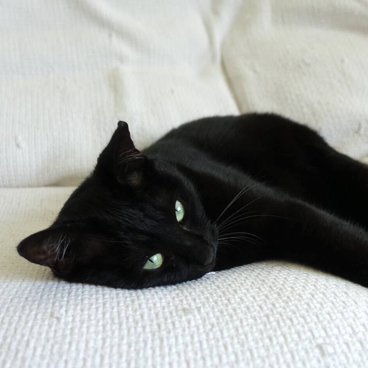 38a4dfdd 32cf 469a 8447 d184899194db