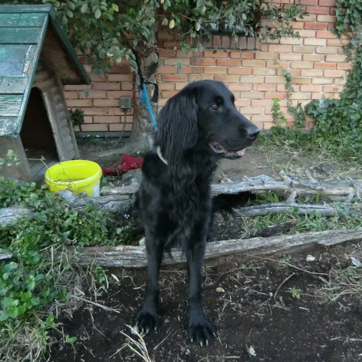 38a53bd9 4739 45f0 bae0 83ec585fed97