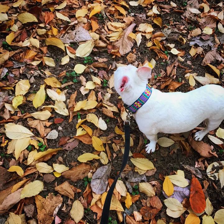 38a5511e 97b4 4924 9bbf 6e9776b01b56