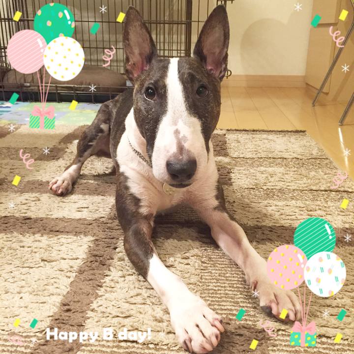 38a7491d e7e2 4b7c bda6 63c6e942974e