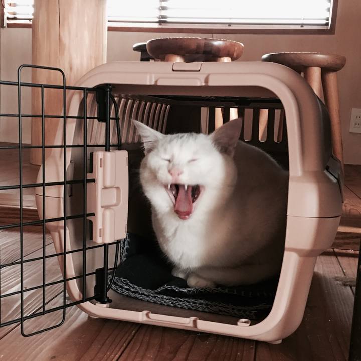 38a82b36 1355 4486 a51b f3de570bace3