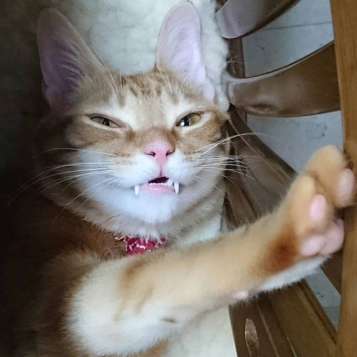 38a847b3 6b6b 4fc3 acd3 331f937acd66