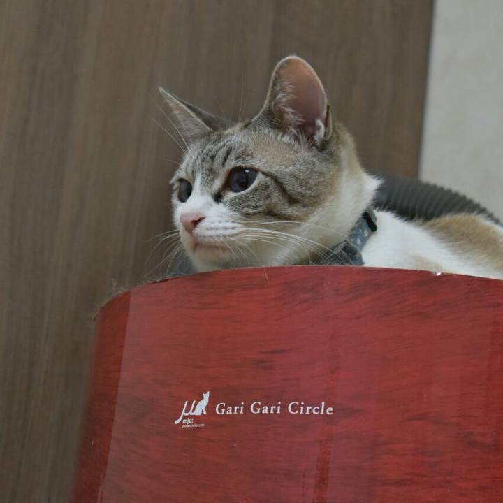 38a8d8b1 5344 458f 961d 513f0ad729f9