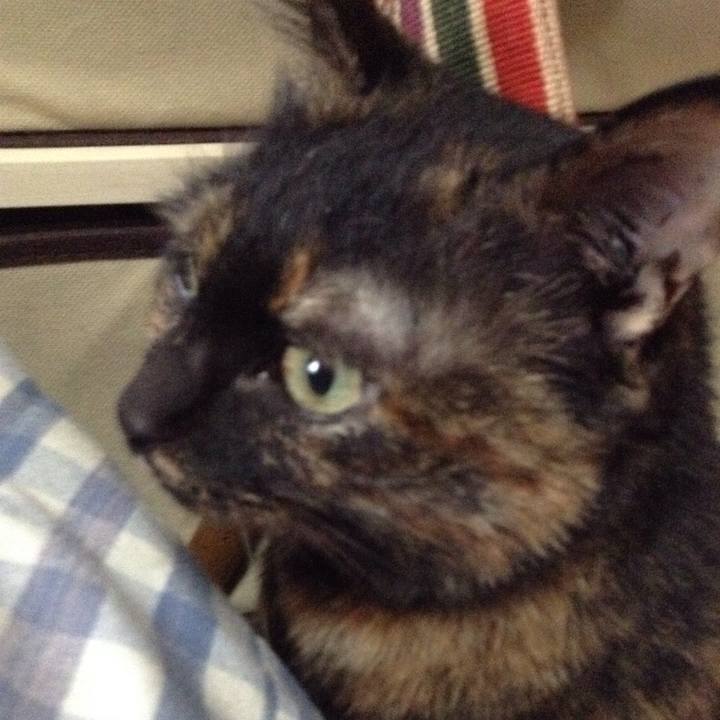 38a90dd1 40db 4c65 8b5a 30cb89206f31