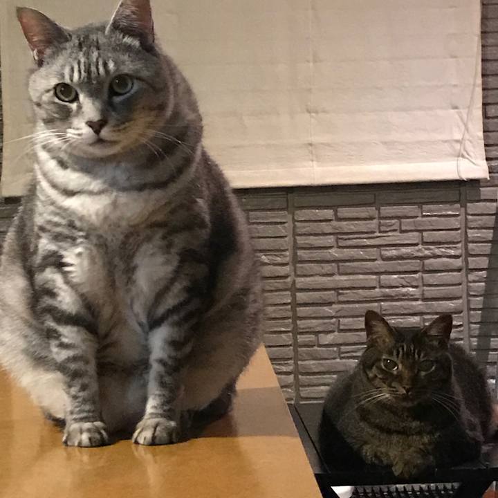 38a95bd5 49db 4343 8a5d df3d5d34e668