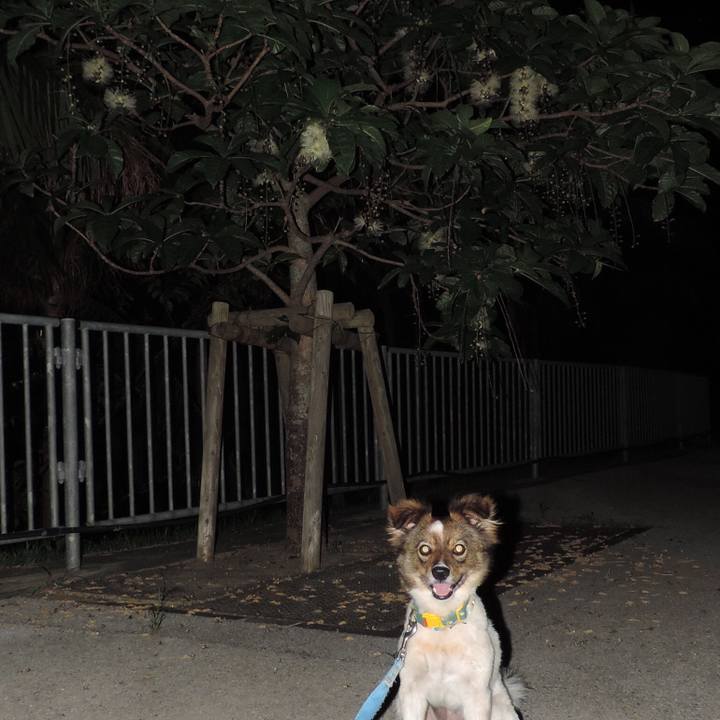 38a964bd d2c1 430e a060 64c0c5ea535c