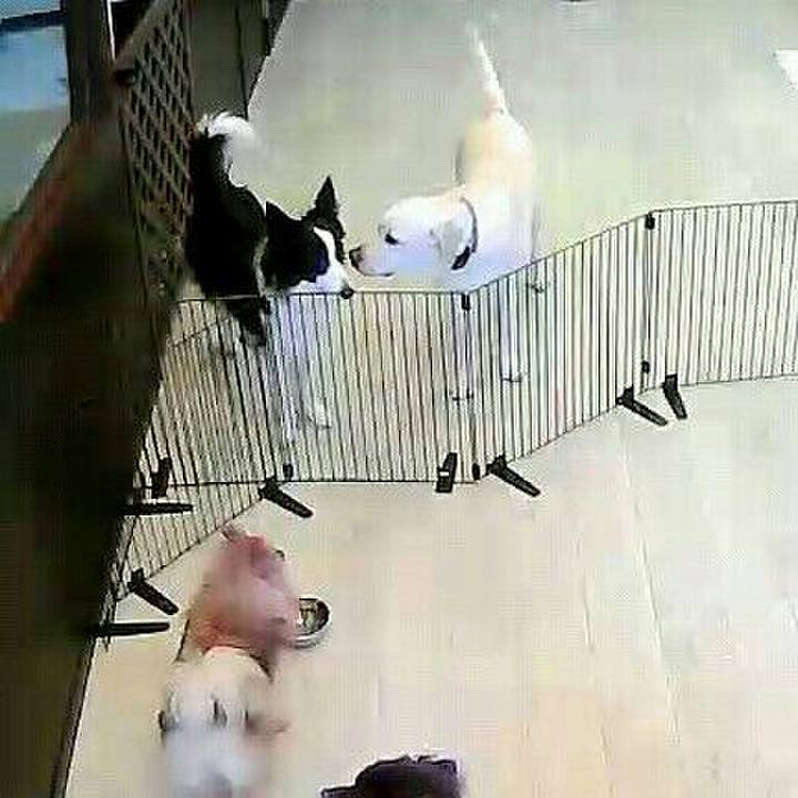 38a96c46 cfb6 4187 aa4c 0762302d2260