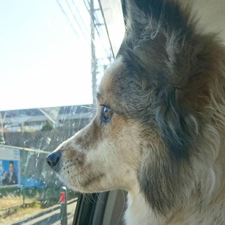 38a9d570 090d 44bc 8155 682f36443a51