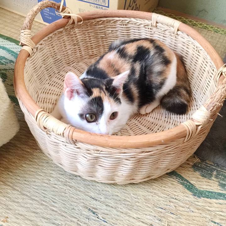 38a9fc9b 0d54 481b a0ff 672a0e1c9bd5