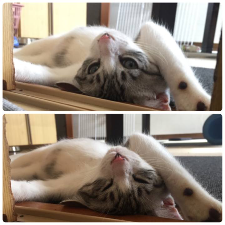 38aa0eb6 2878 4610 8e8b 41b5c422c4c3