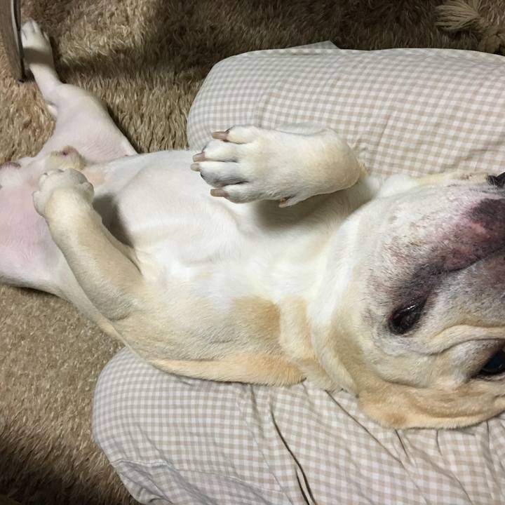 38aa27d3 6f8a 4873 8eea b6cfbaf938a0