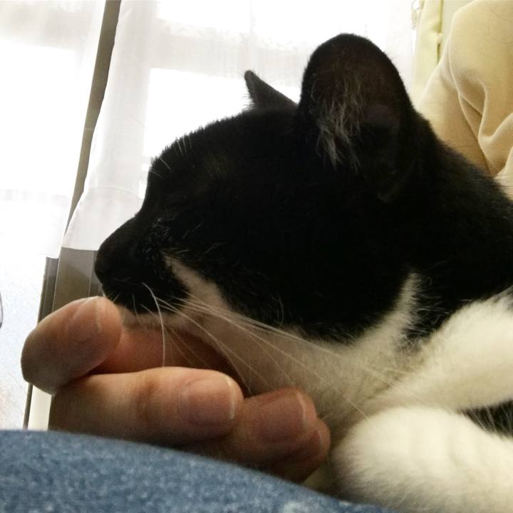 38abe73a 7166 4490 9898 beae4818ea54