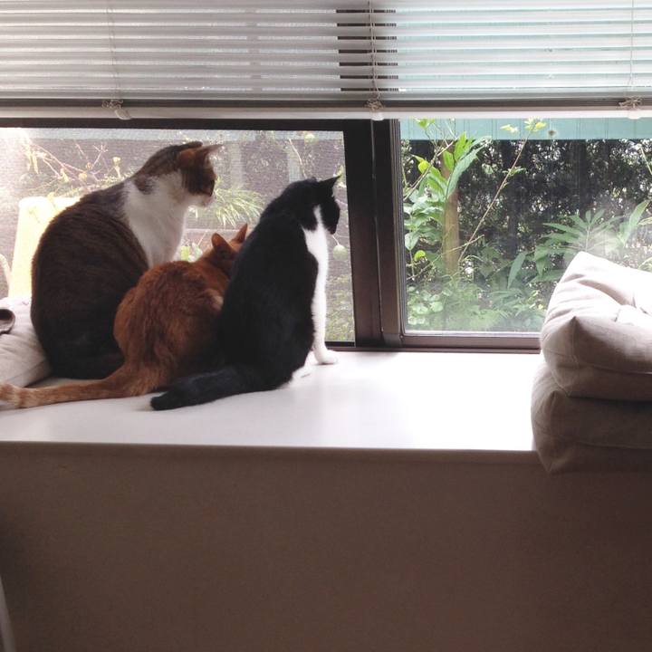 38acbc3b 2d46 471f ac53 1d266122d310