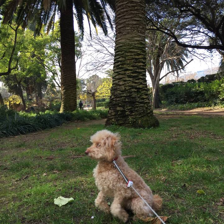 38ad5e17 54ef 4e0c 9231 3d4012865ec2