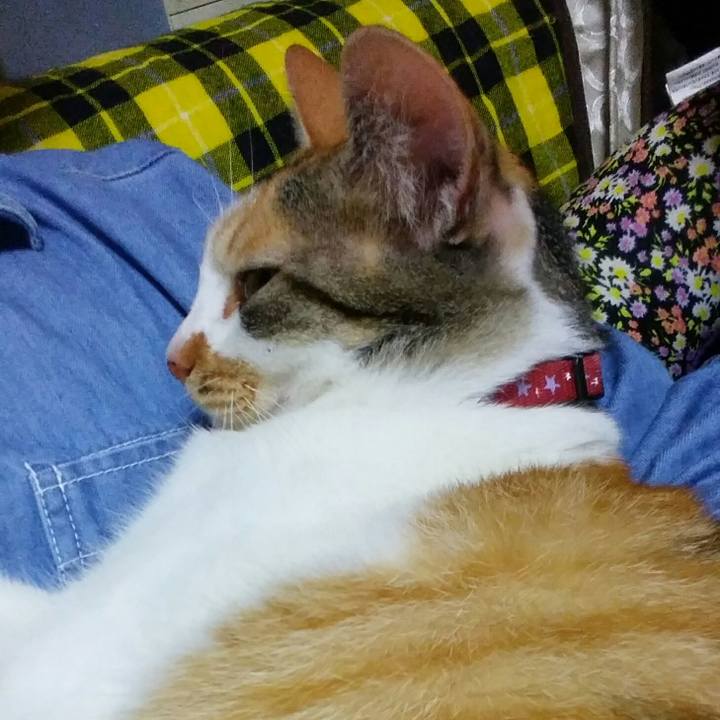 38aeefe4 3dc2 49d6 9820 39c5bd3cb990