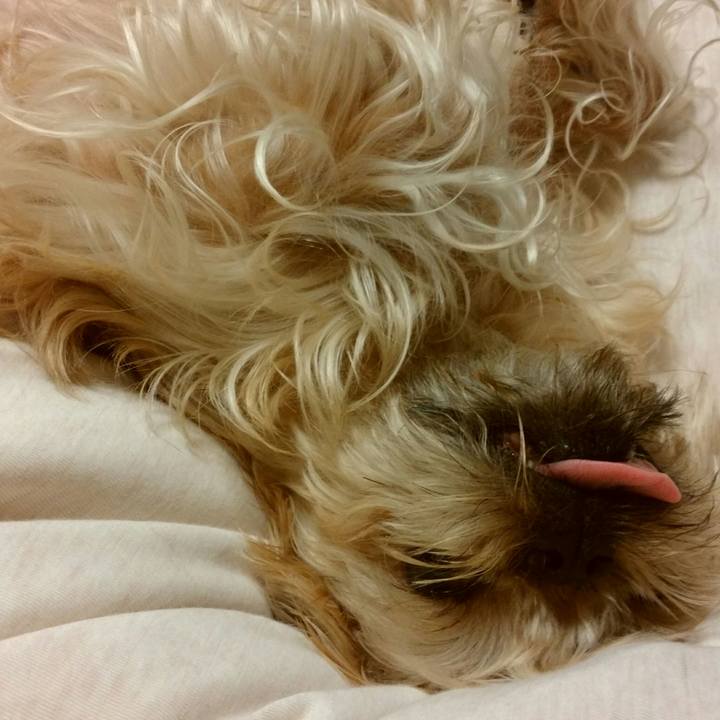 38af0ac6 8dac 40a5 8cd0 3d886acd41bb