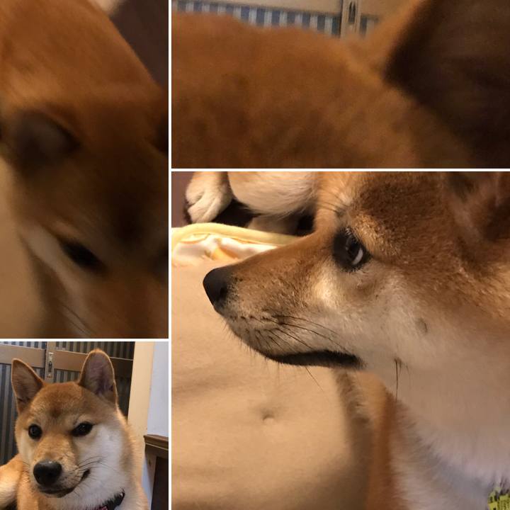 38b04cf8 45dc 4a78 868e 8d49717732b1