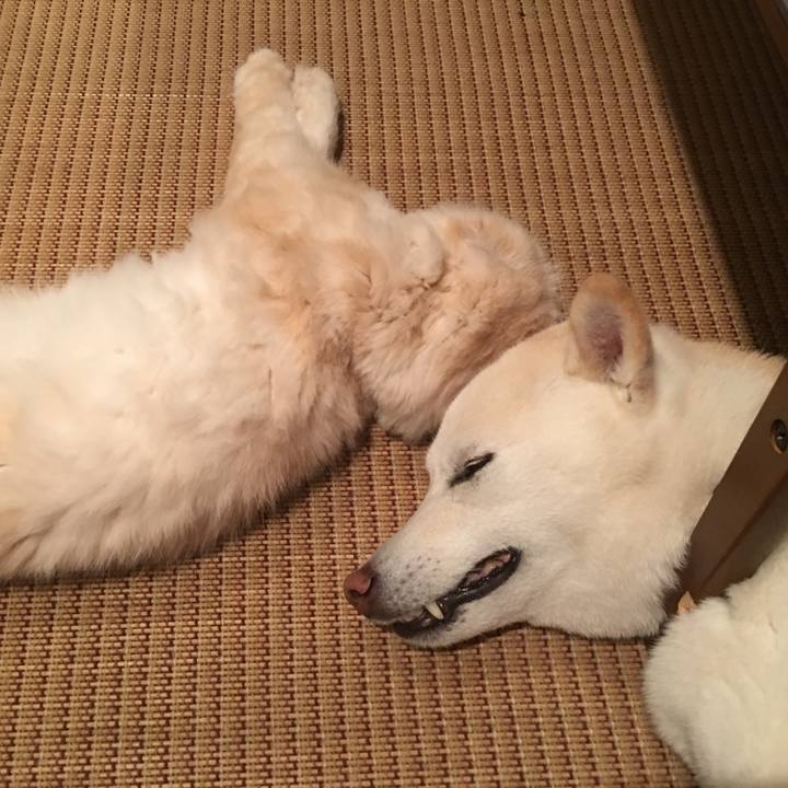 38b05902 f3dc 4c51 9a6d 660d792b6b0d