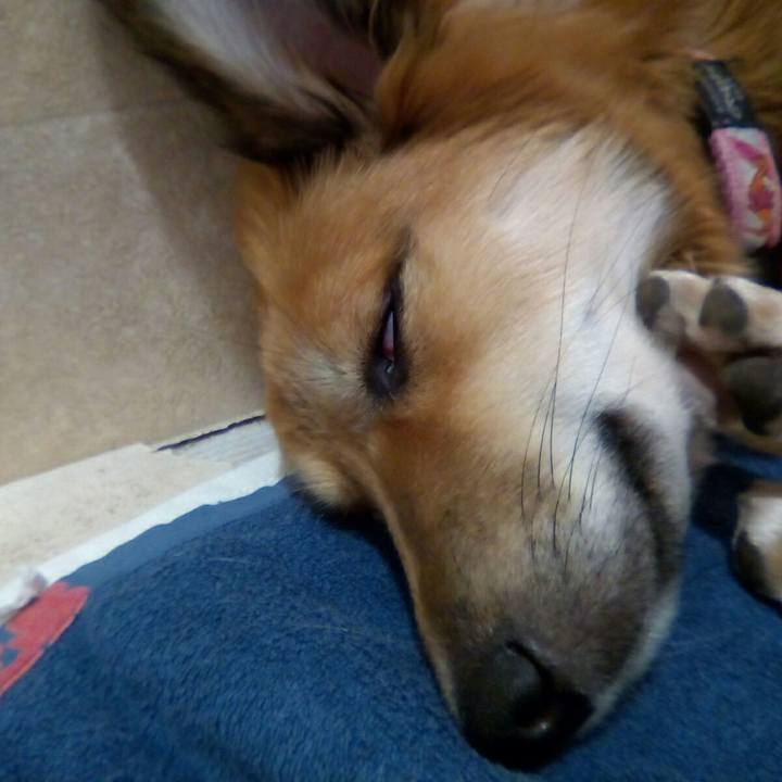 38b065db ed88 46c3 bd44 b808d631cc00