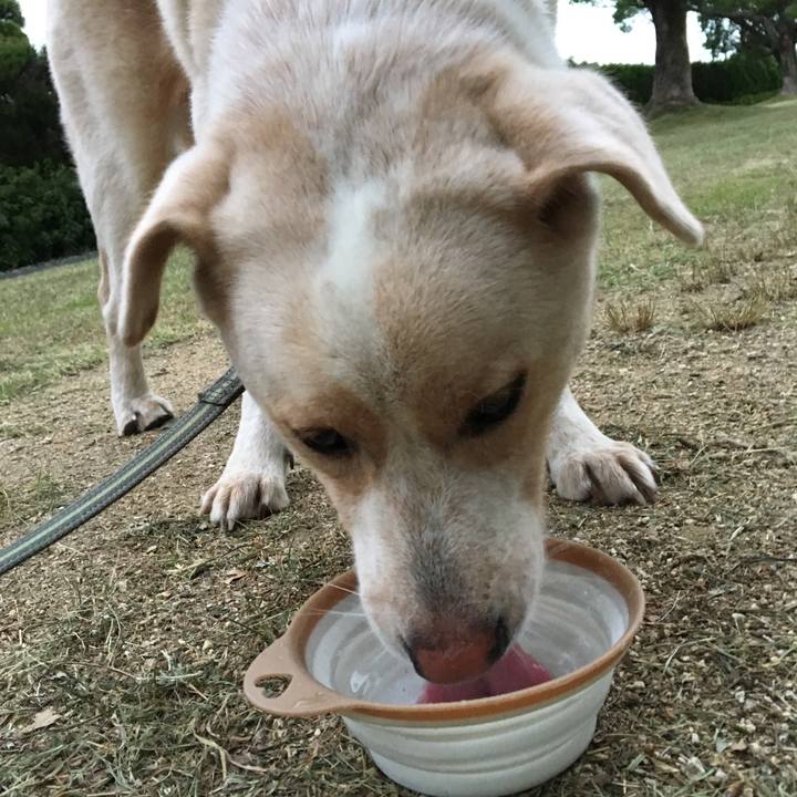 38b10713 6d77 40d3 850c a2f185d7136a