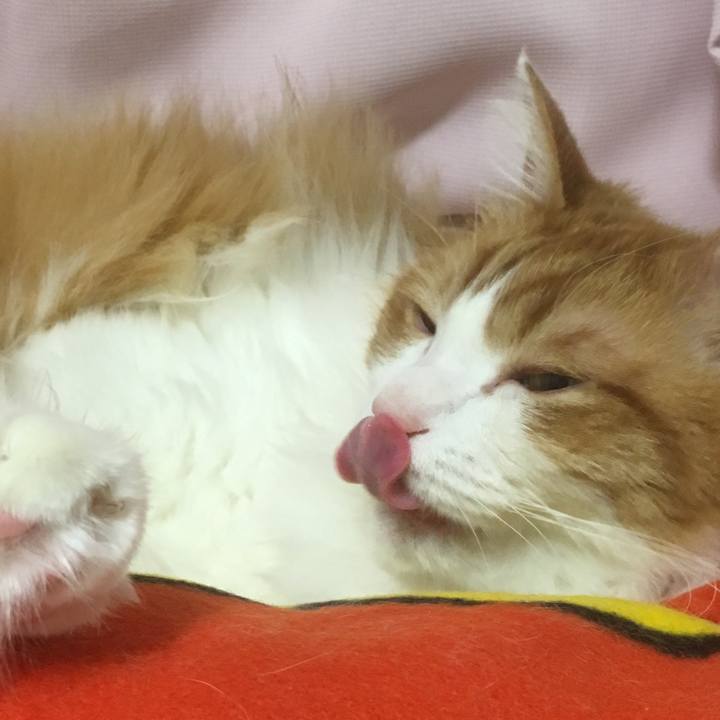 38b206b5 4524 4fbf ada6 04fcdfc8310f