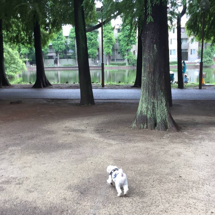 38b21785 ee9e 470a 82f9 82af1fb60cac