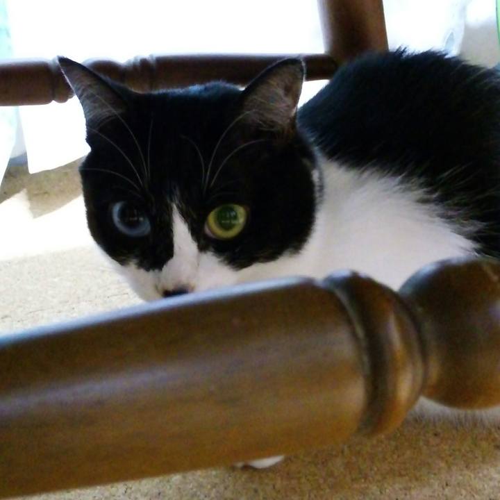 38b276db 3357 4a7d ab8a 52abdf717074