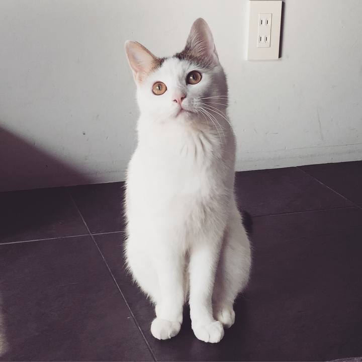 38b2c218 0af8 4834 94e4 2bcc05826c64