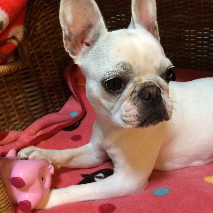 38b333b8 3a2d 4326 b3e1 f0f114d89c71