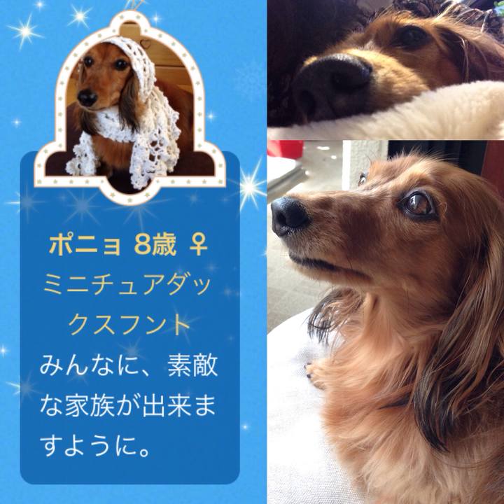 38b3f750 c1d5 4f7b 8995 3fe4de76901e