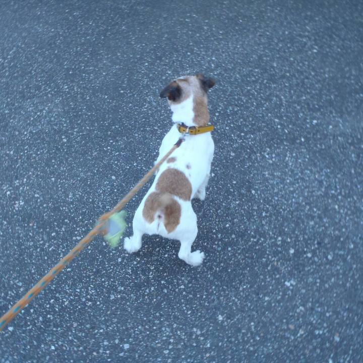 38b4314a a0b2 45cd 992d 9b9b2c4db4b8