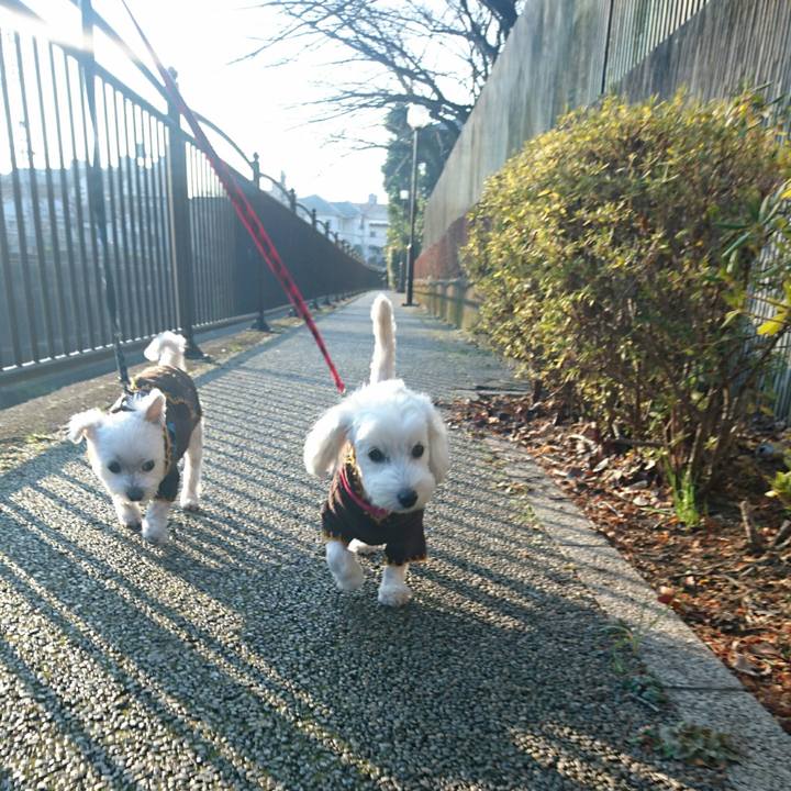 38b442f9 a906 426c b6d7 3ea0666c4fae